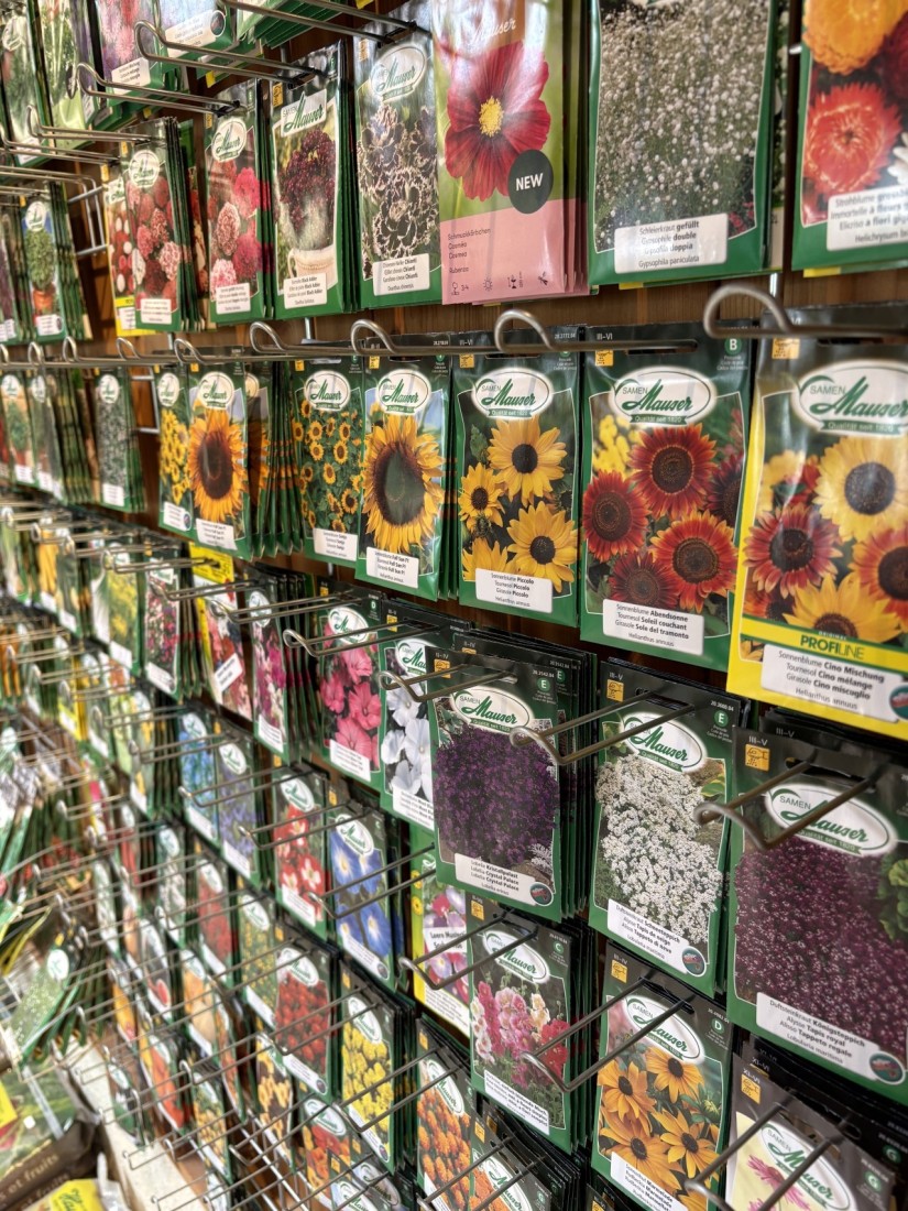 Bilder Blumen Grütter