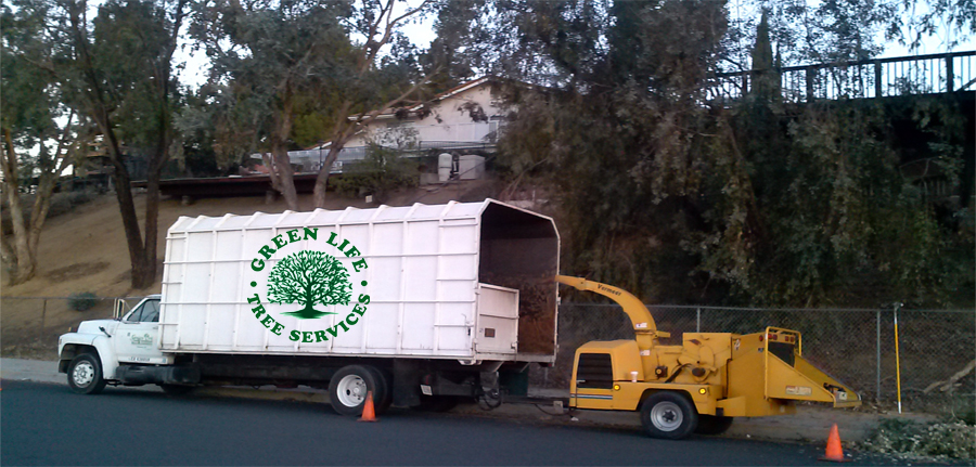 Green Life Tree Services