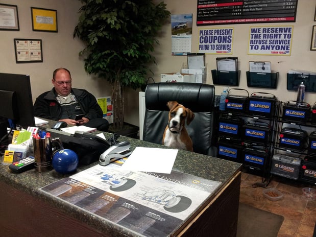 Images Brian's Carsmart Inc