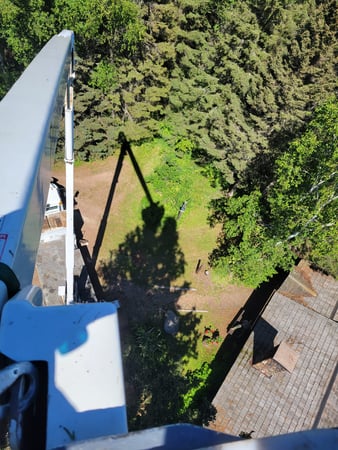 Images McMillan Tree Service