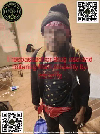 Images TreeStone Security Services