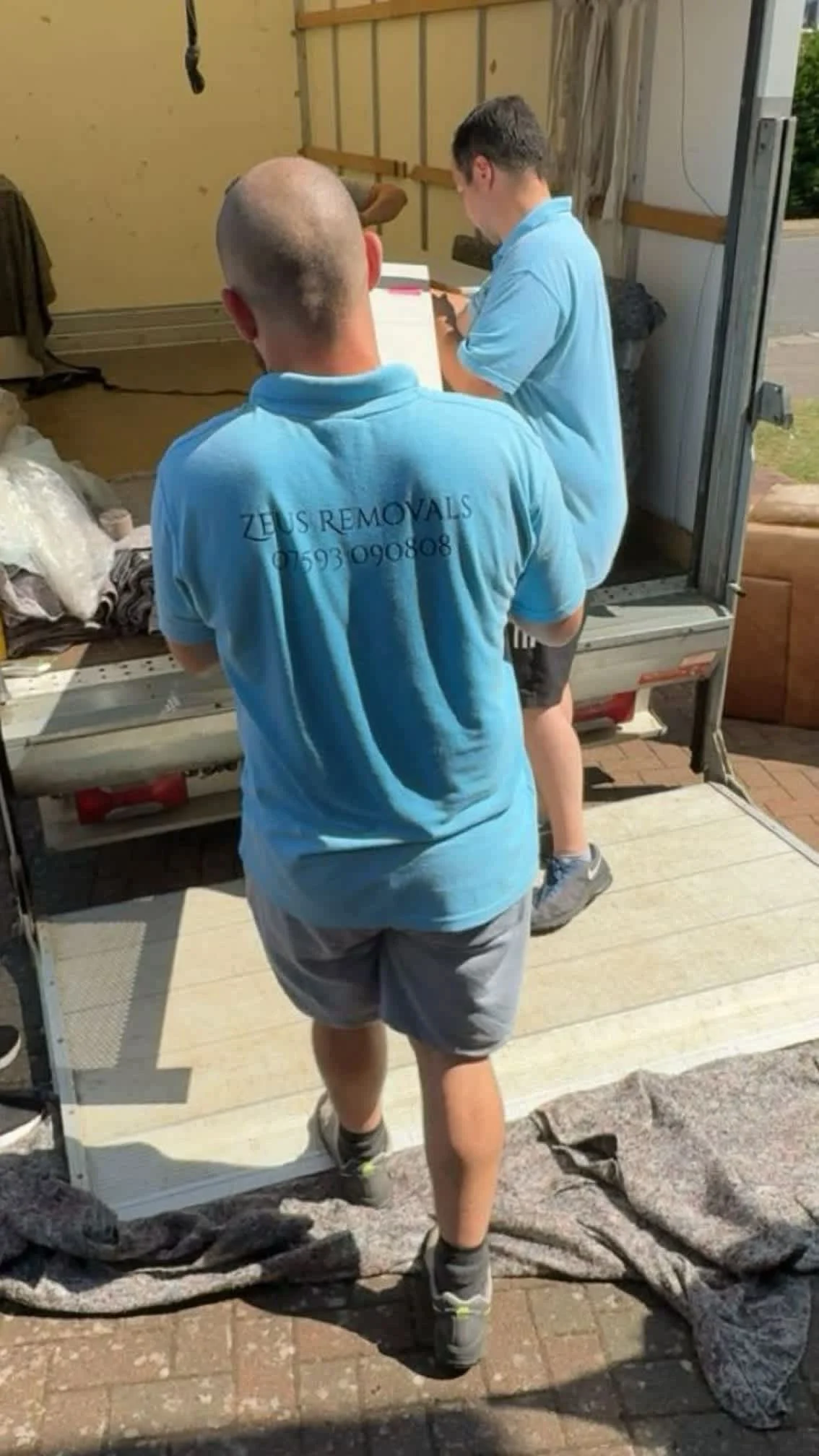 Images Zeus Removals