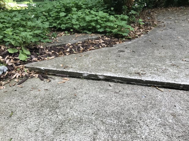 Images Ox Foundation Solutions