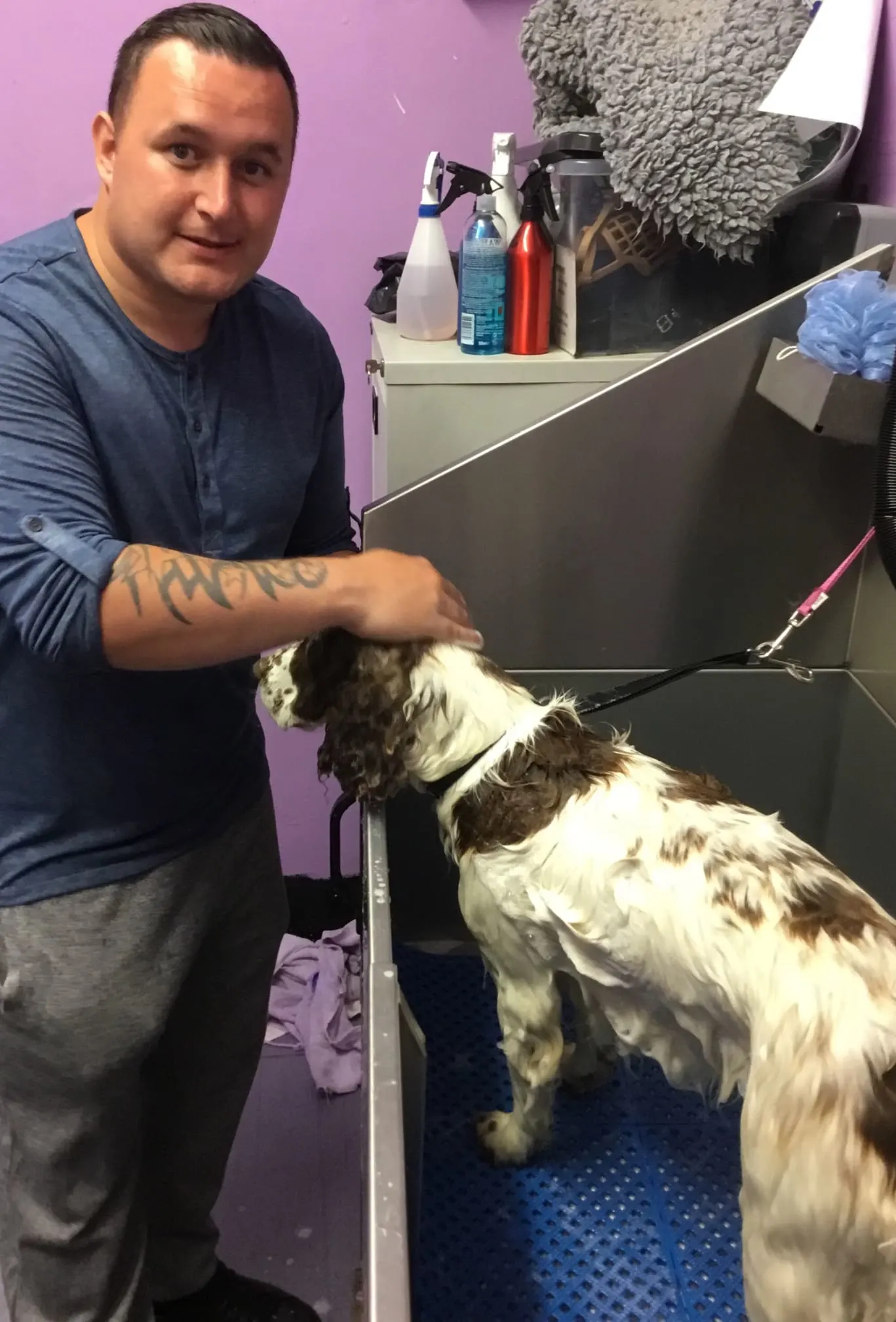 Scruffy 2 Fluffy Dog Grooming School Bargoed 01443 524141