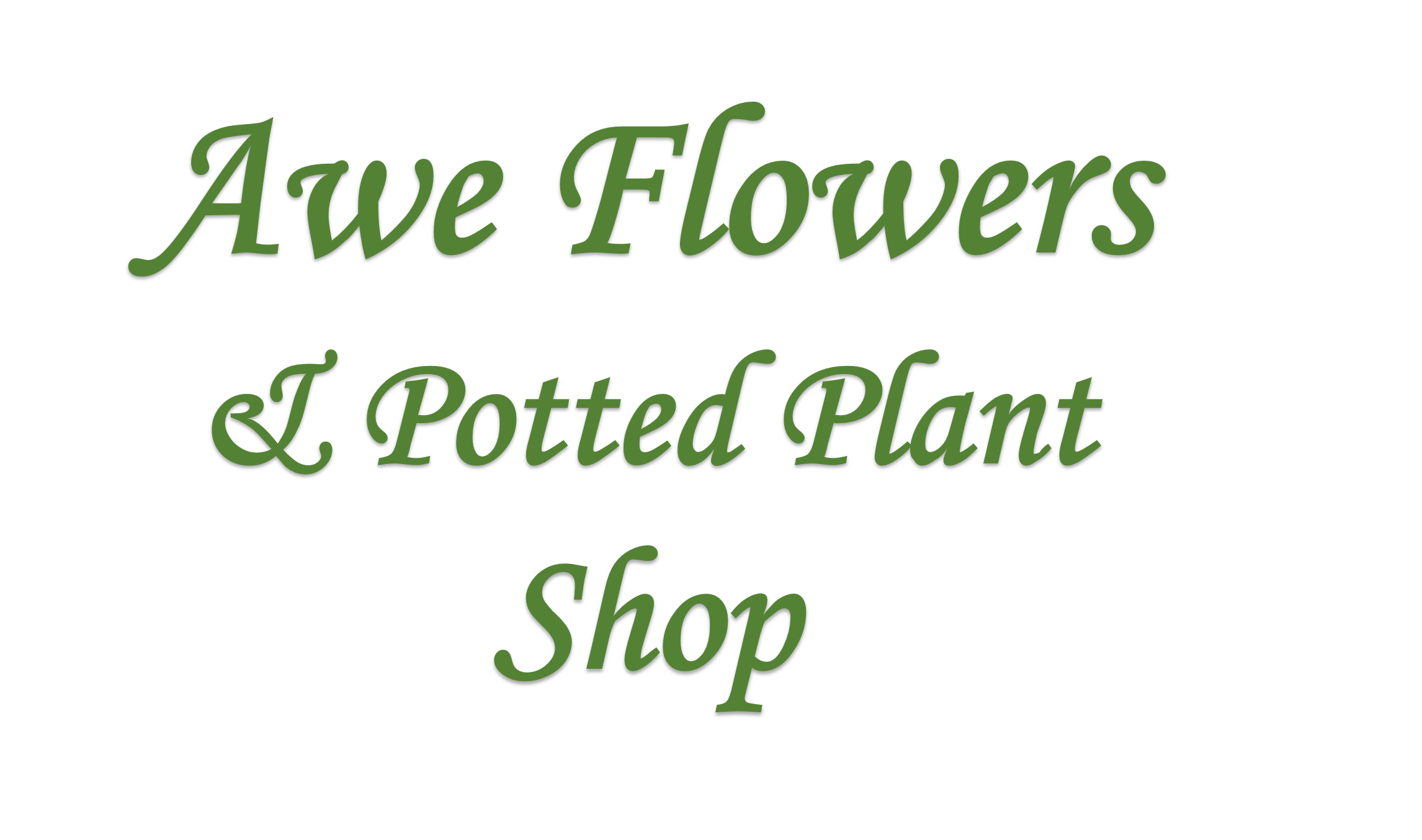 Awe Flowers & Potted Plant Shop Photo