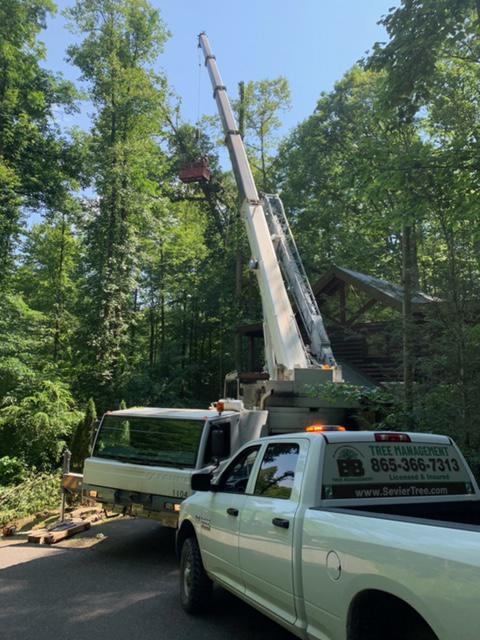 B&B Tree Management, LLC Photo