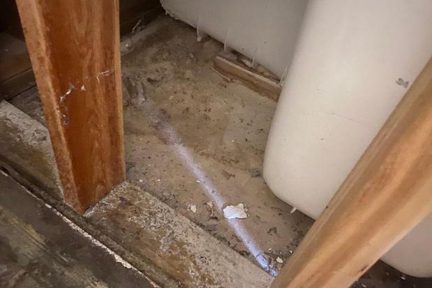 Images First Response Restoration, Water Damage Minneapolis Specialist