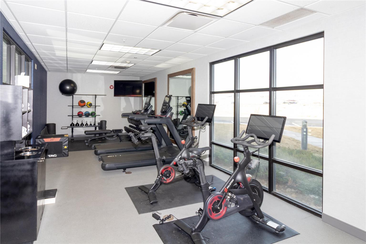 Health club  fitness center  gym 