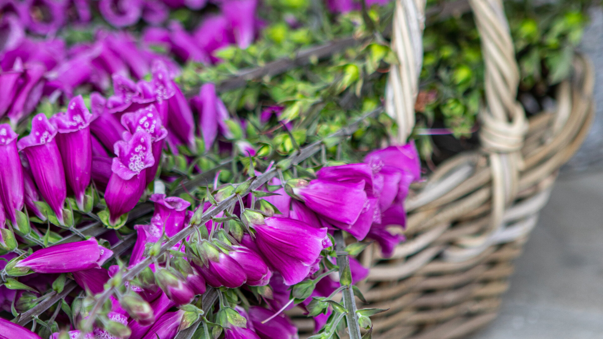 Images The Burrator Inn