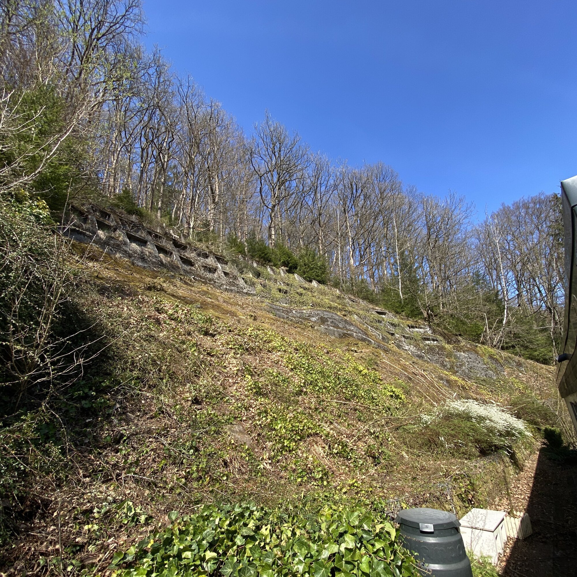 Baumdienst Behan, Im Winkel 22 in Schalksmühle