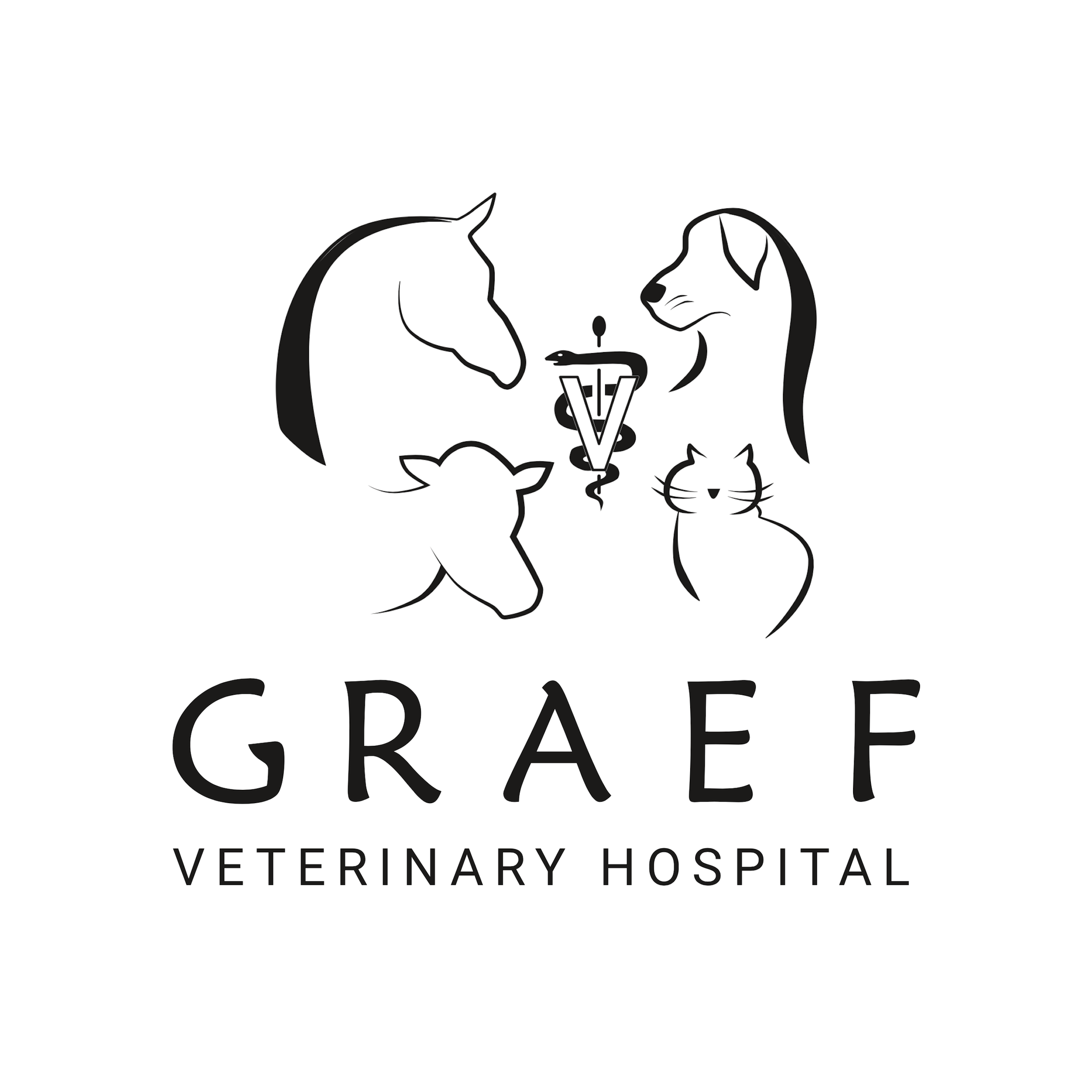 Graef Veterinary Hospital