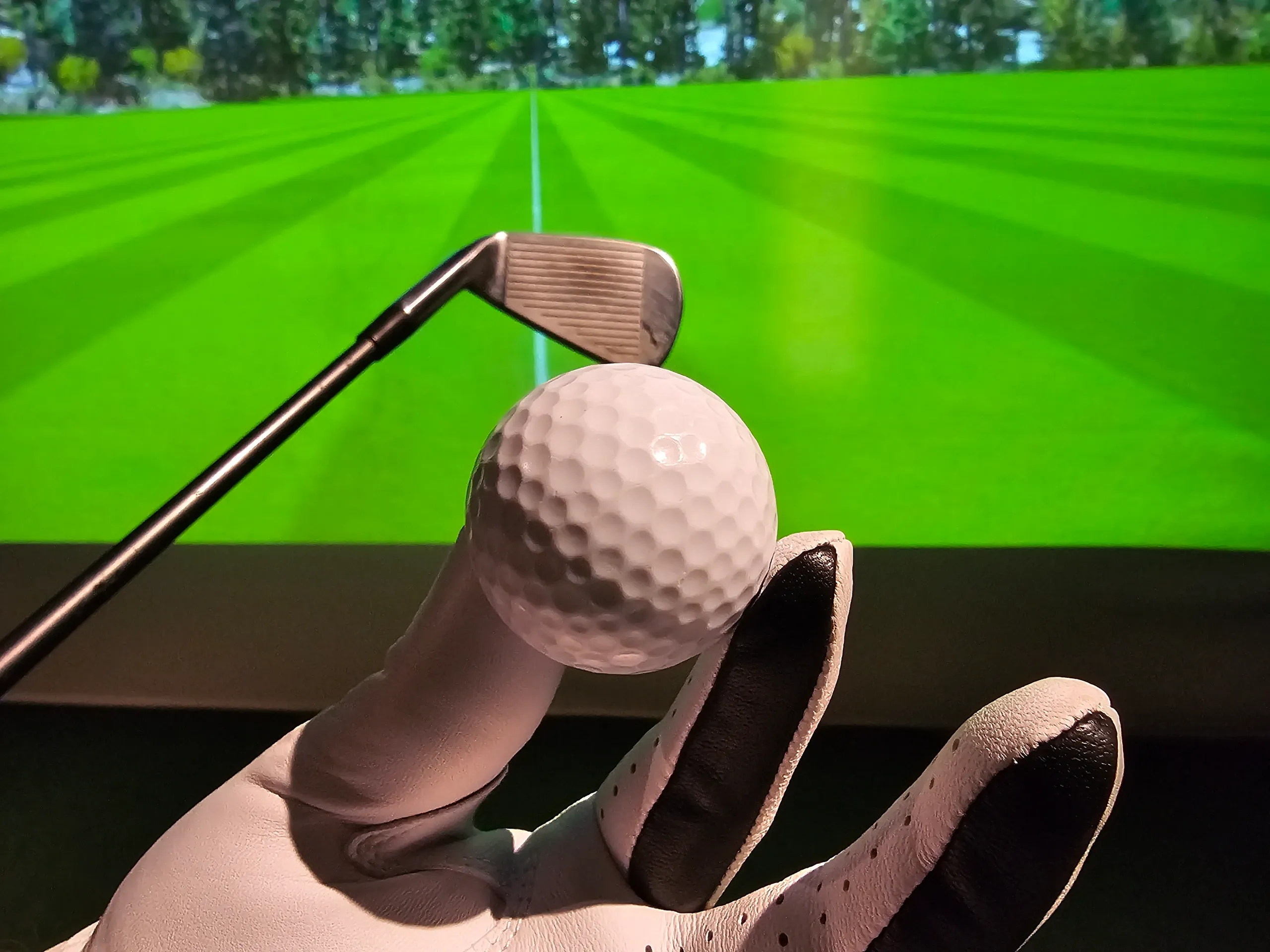 A close-up shot of a golfer's gloved hand holding a golf ball, with a golf club in the background against a blurred green golf course simulation.