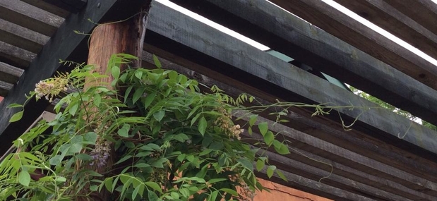 Images Poynter Landscape Architecture & Construction