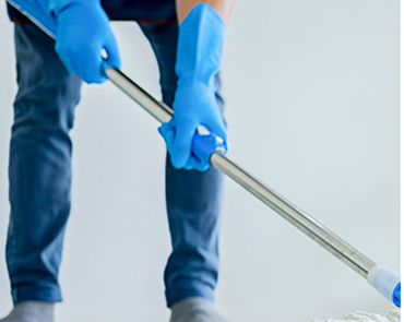 Eddi Gebäudereinigung, Grunder Weg 2 in Tharandt