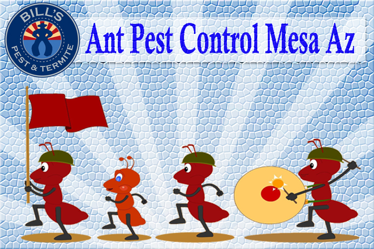 Bills Pest Termite Control Mesa Az Image