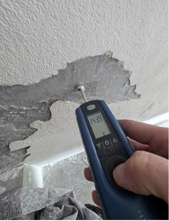 InsideDry Trockene Wände - SMP Service GmbH, Traveredder 23 in Klein Rönnau