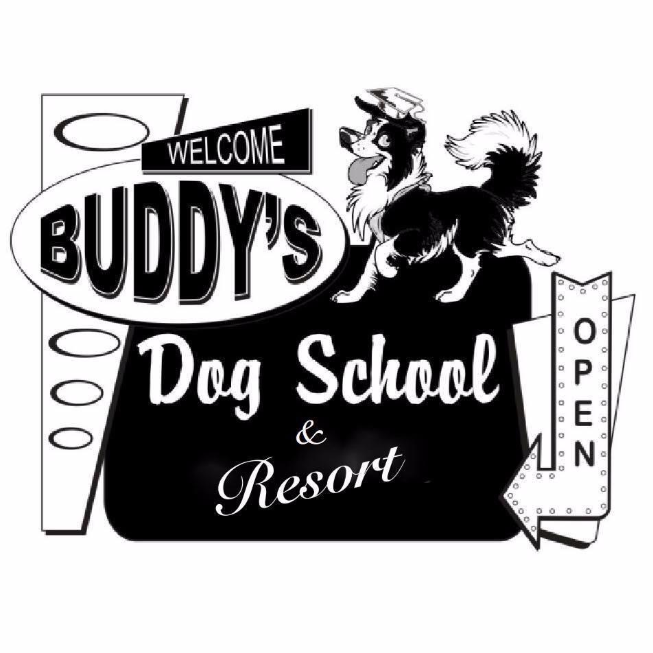 Buddy's Dog School Logo