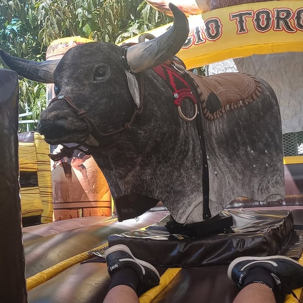 Images Mosso Party Rentals