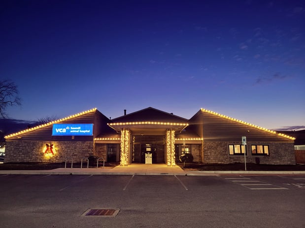 Images VCA Sawmill Animal Hospital