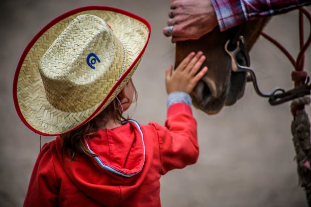 Images CM Ranch