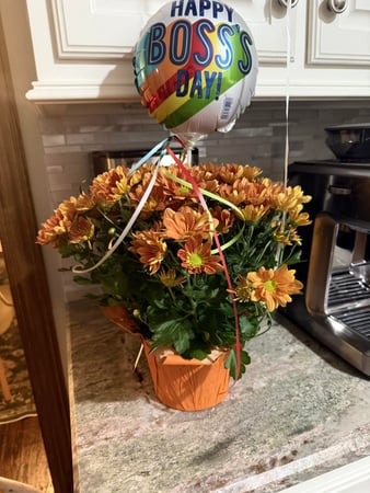 Images Jamie Detten - State Farm Insurance Agent