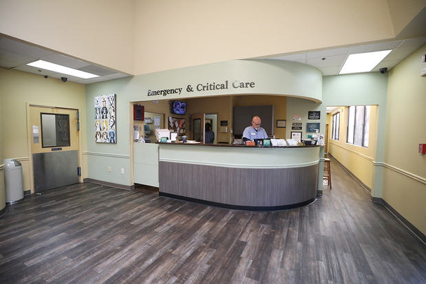 Images Cobb Emergency Veterinary Clinic