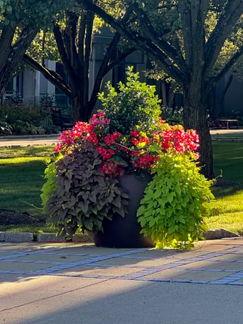 Images Justin Tree Services & Lawn Care