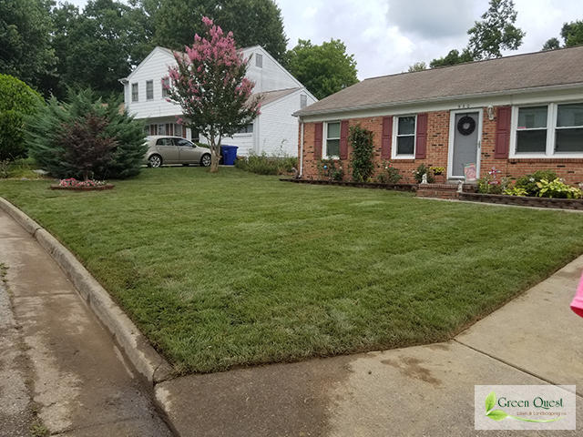 Green Quest Lawn & Landscaping Inc. Photo