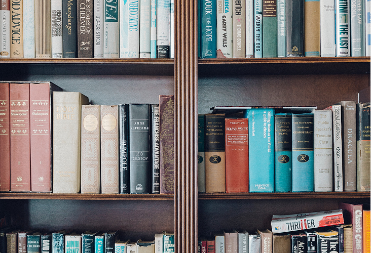 A bookshelf filled with classic literature.