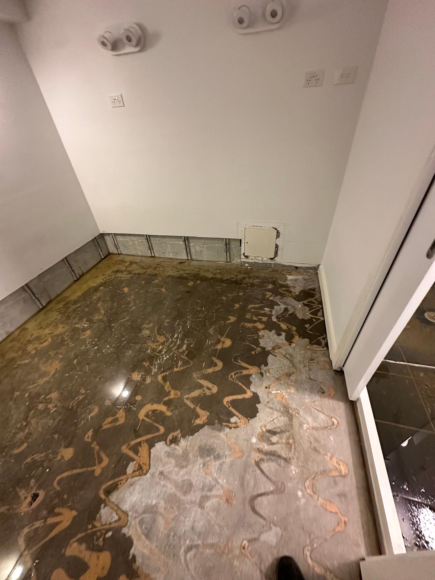Images Restored Right flood Restoration Carpet Cleaning & Cleaning Services