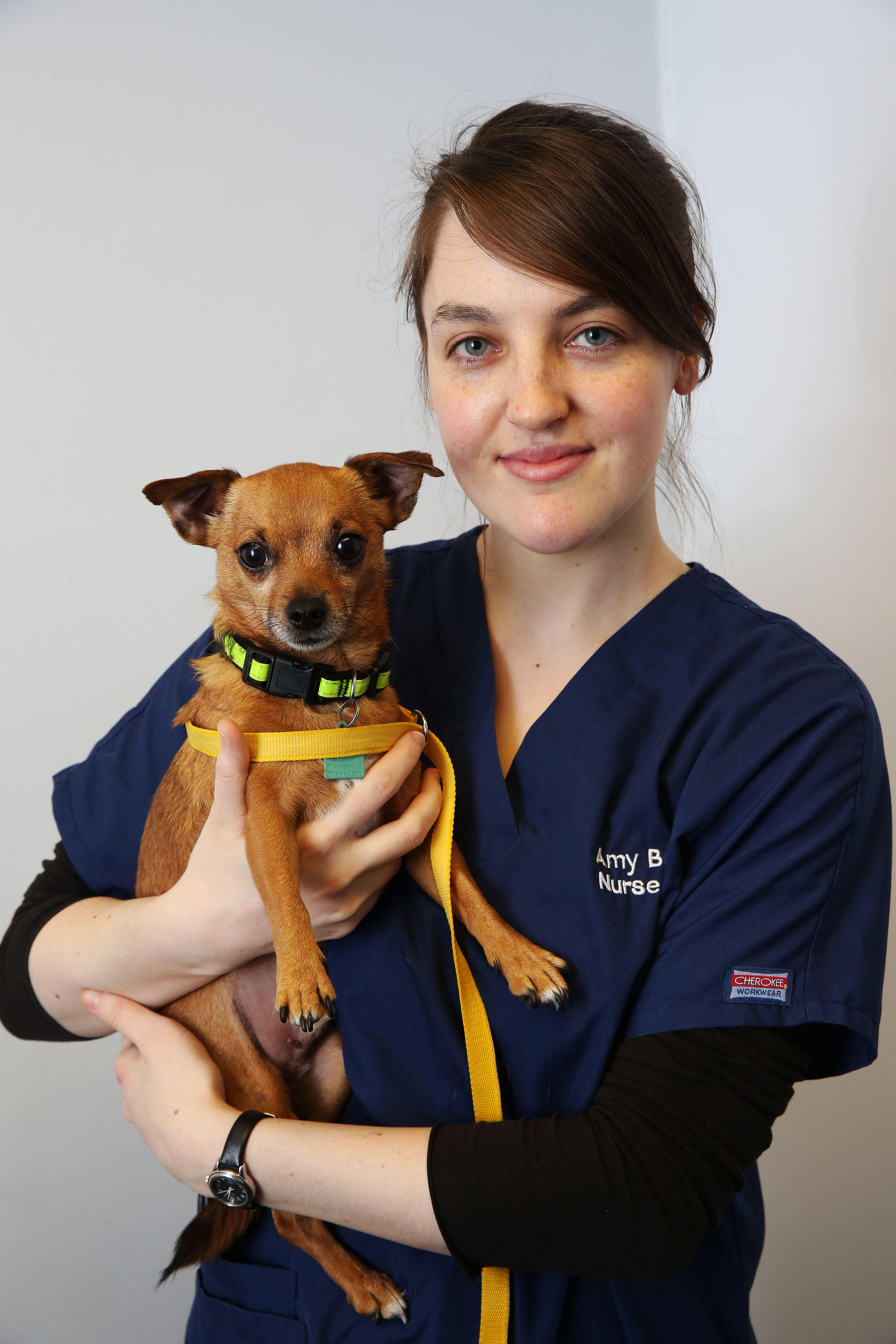 Images Westway Veterinary Group, Houghton