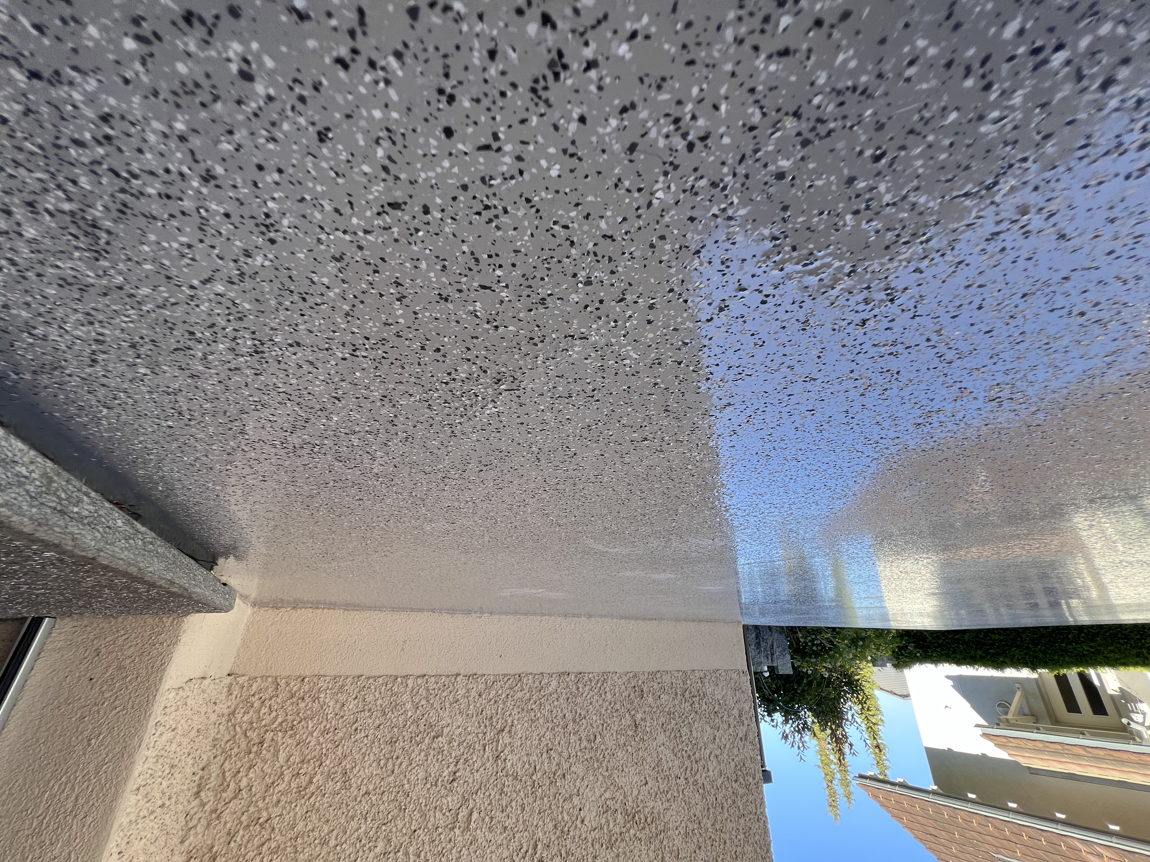 Bilder Wild Malerei AG