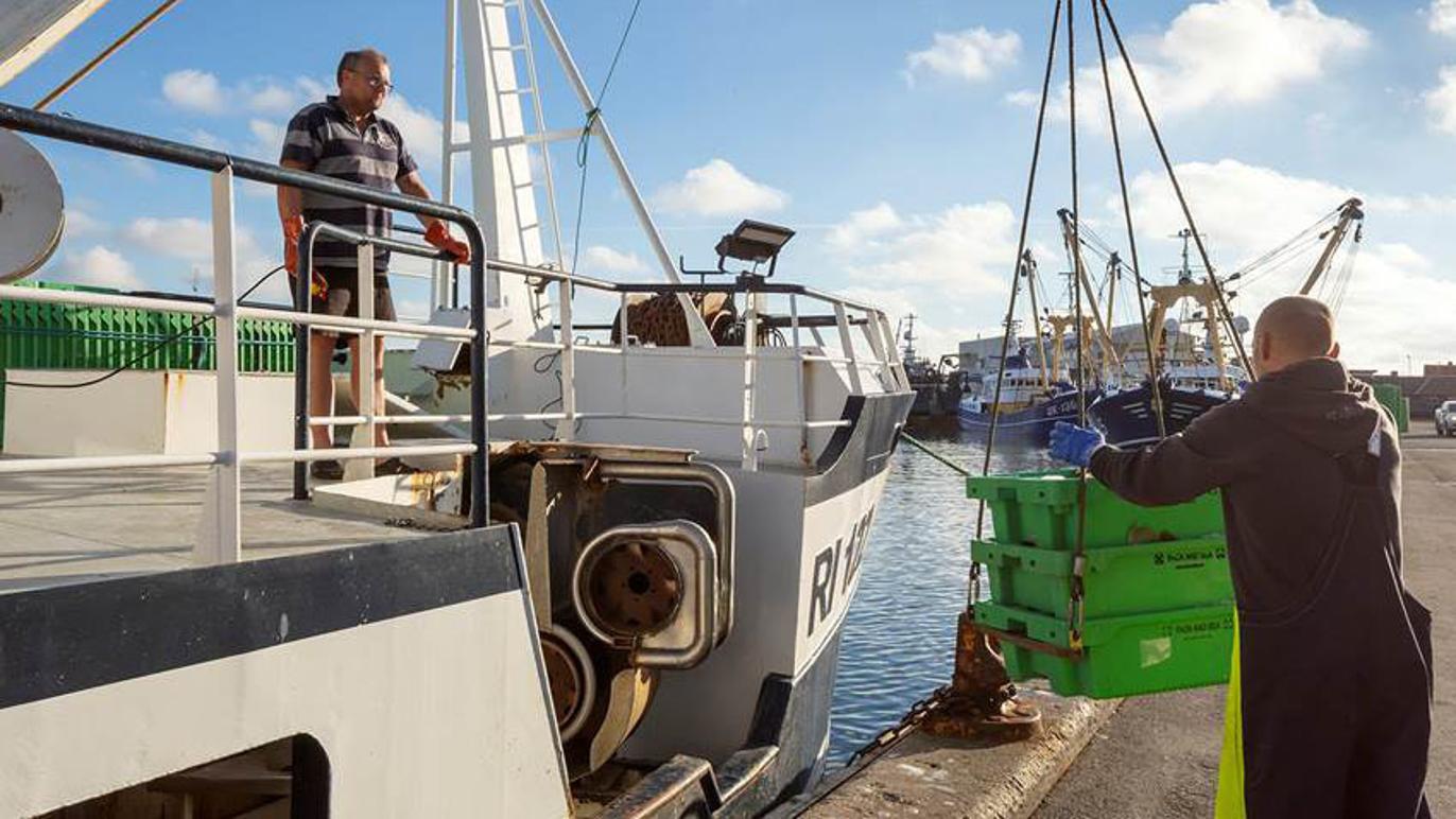 Images Thyborøn Havn