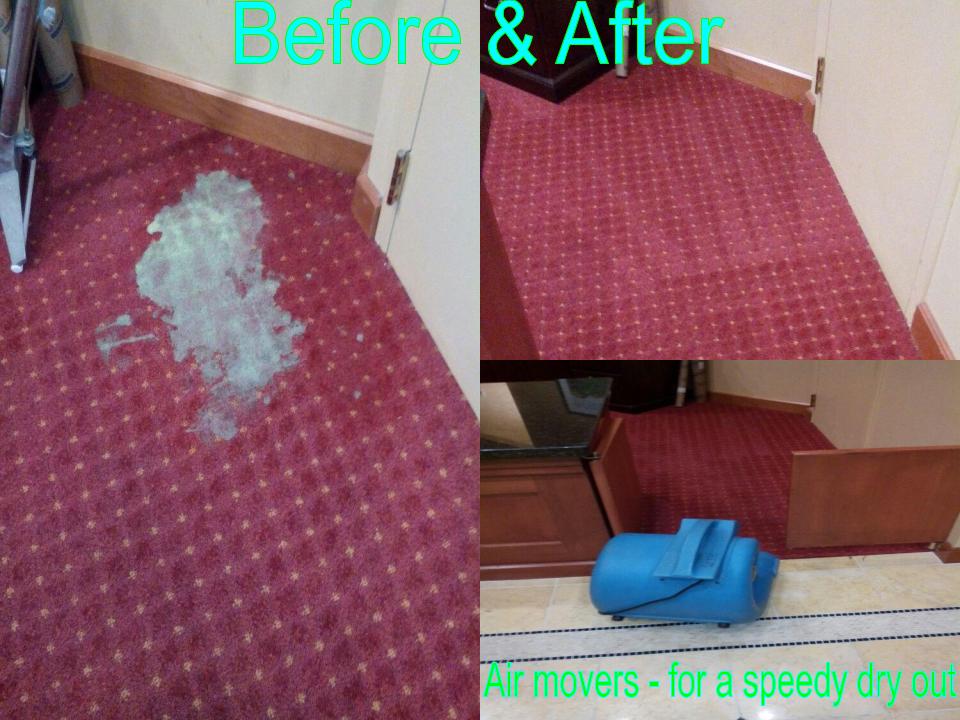 Able Body Carpet & Restoration Photo