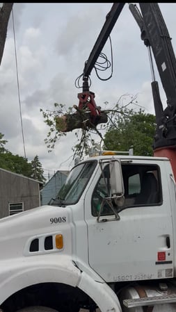 Images Peterman Brothers Tree Service LLC