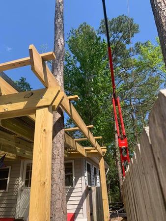 Images A Cut Above Tree Experts