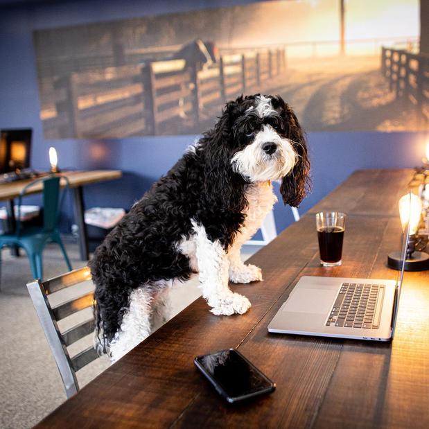 Images Workhorse Coworking