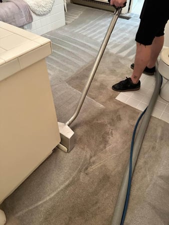 Images Van-Go Custom Carpet Cleaning