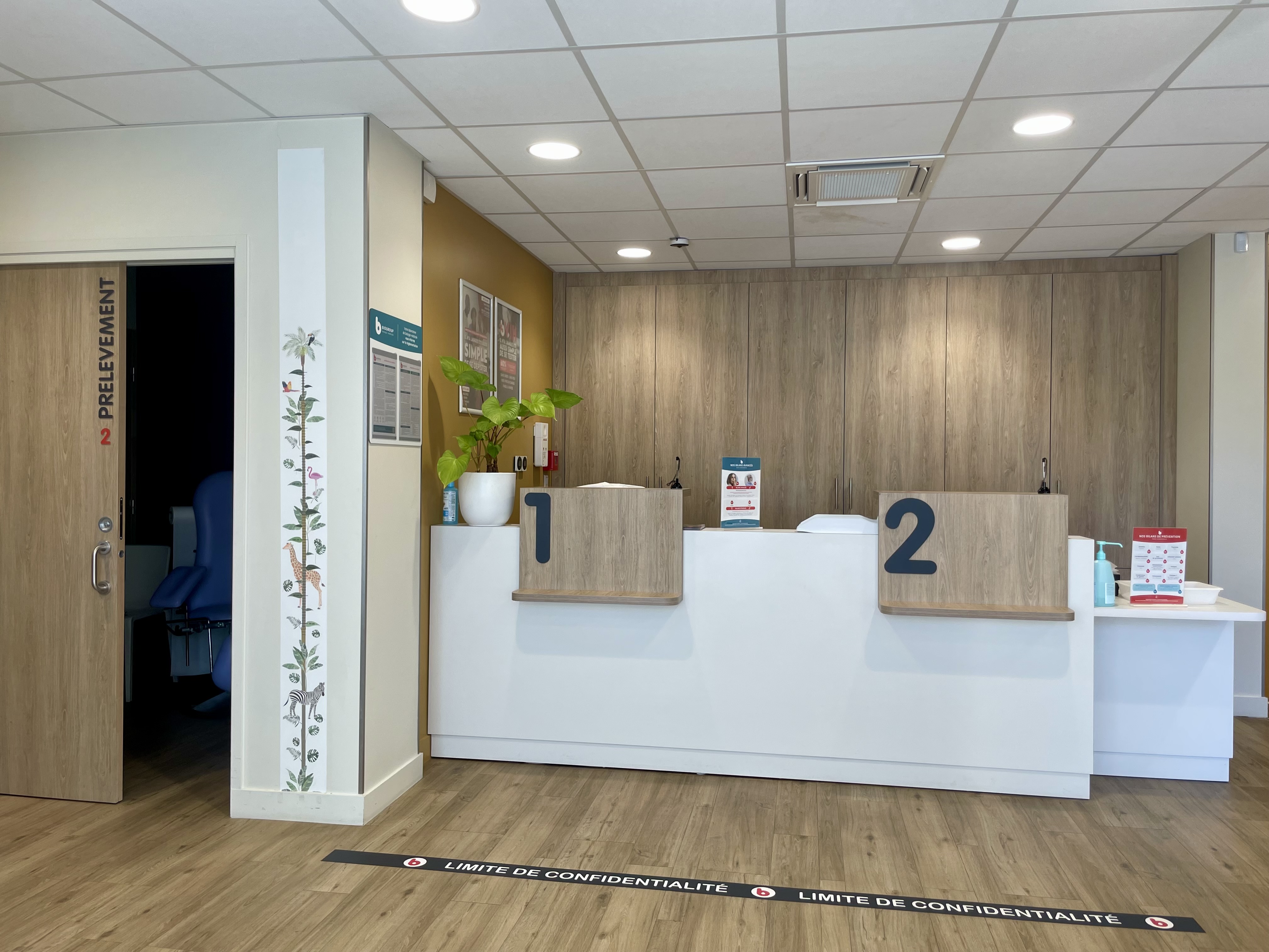 Miniature de la galerie