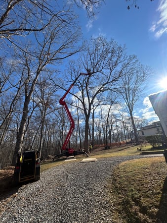 Images O'Brien Outdoors Tree Service
