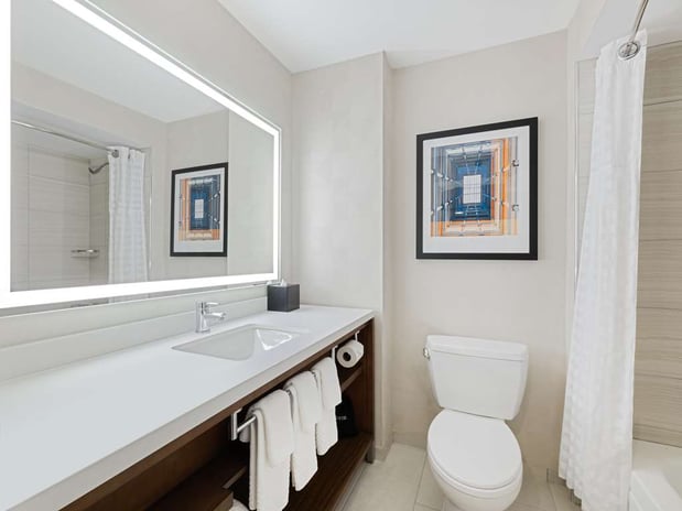 Images Embassy Suites by Hilton Chicago Downtown River North
