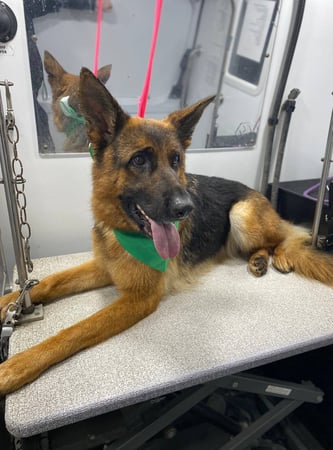 Images Kontota of NW Austin, TX