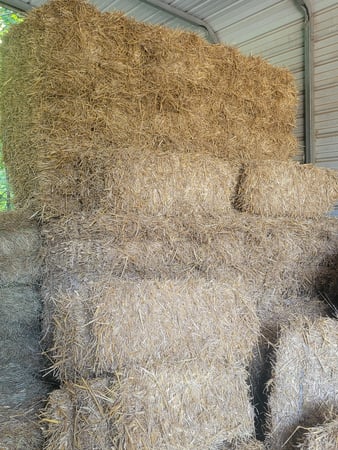 Images Holt's Feed Store