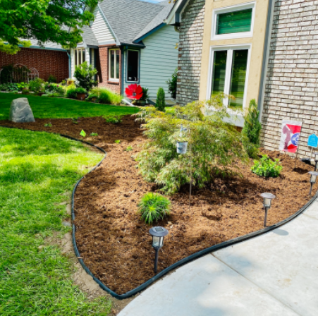 Create our outdoor oasis with our landscapers!