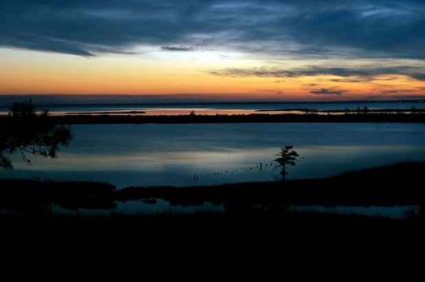 Images Hampton Inn Mobile-East Bay/Daphne