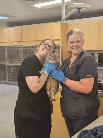 Images EVE Pet Hospital
