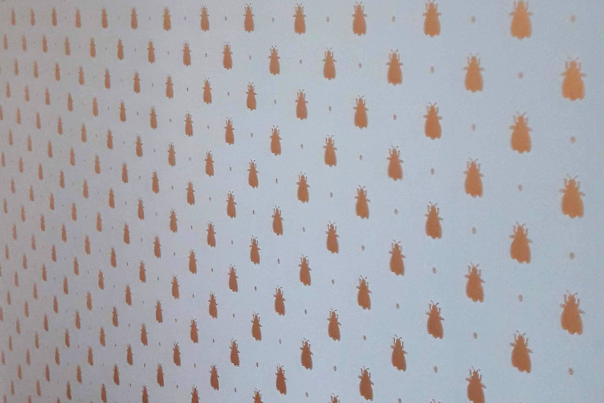 Bild 4 Julia Ruser Malermeisterin in Tüttendorf