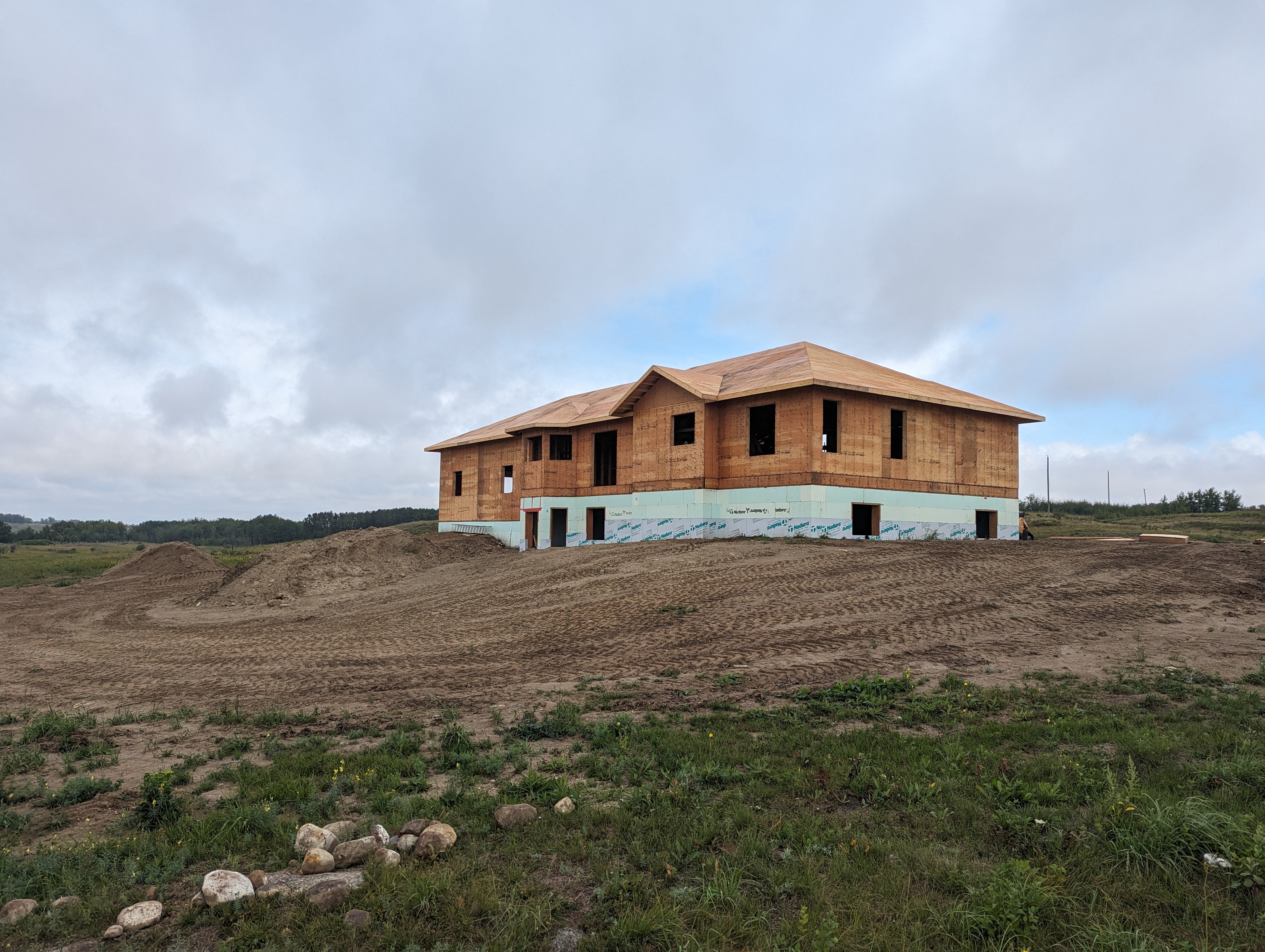 Images The Blue Spruce Builder