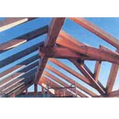 Images Parth Günther Carpenteria