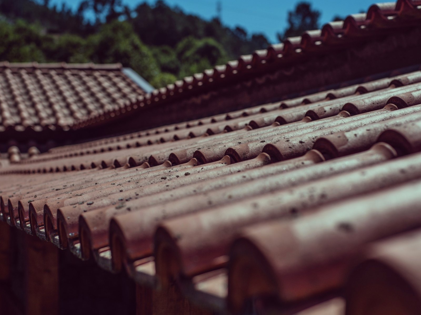 Ebenezer Roofing LLC